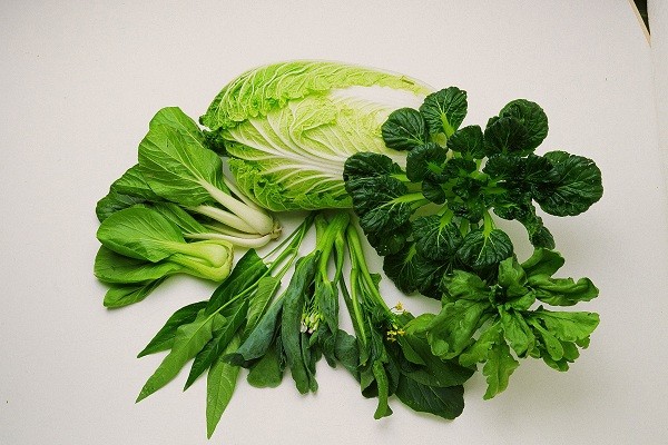 Daun